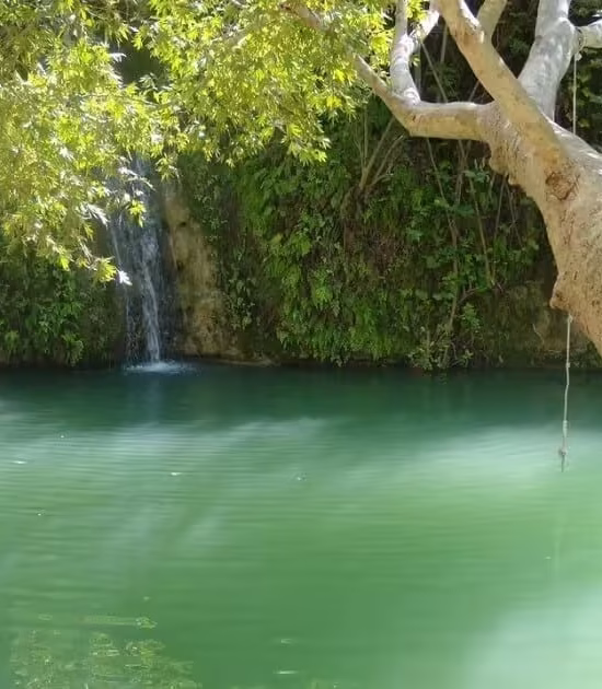 SURF & TURF BY MINI BUS