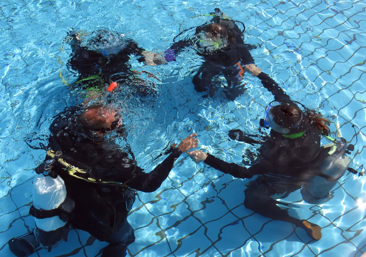 cy dive  x