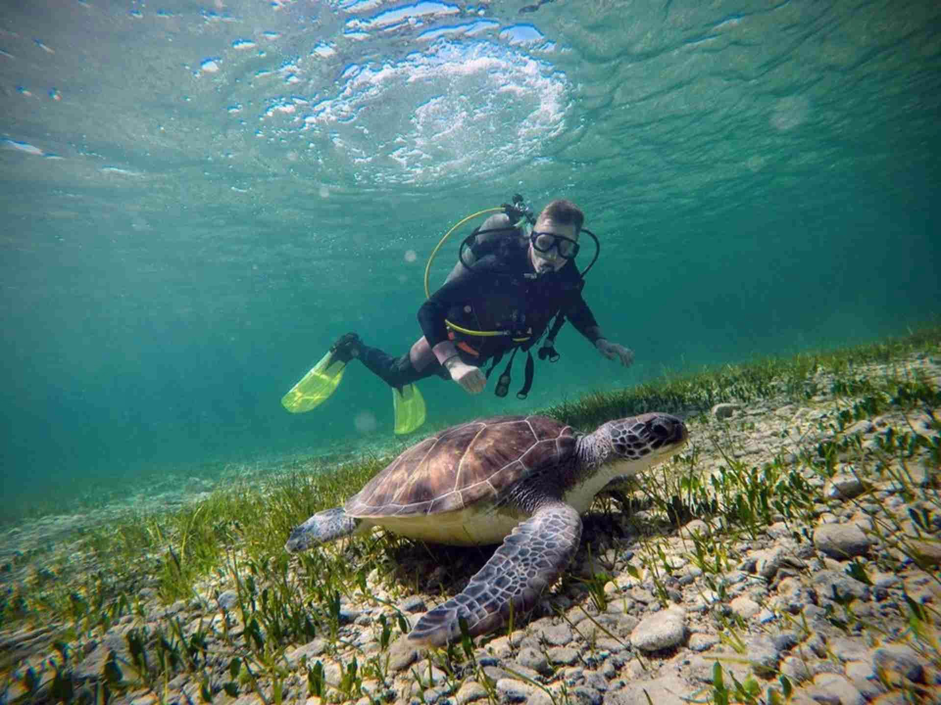 DISCOVER SCUBA DIVING