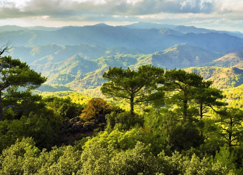 100% TROODOS MOUNTAINS AND VILLAGES
