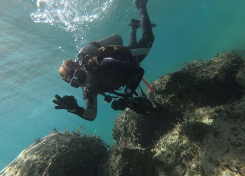 DIVE ADVENTURE LIMASSOL WRECKS