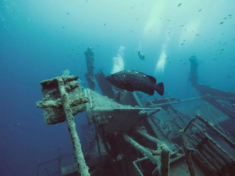 DIVE ADVENTURE ZENOBIA