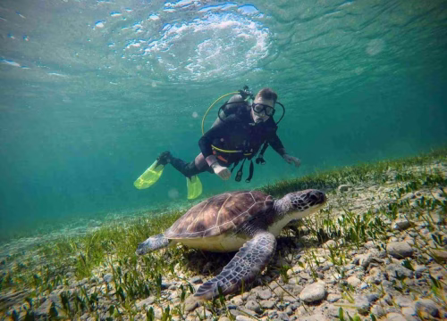 DISCOVER SCUBA DIVING