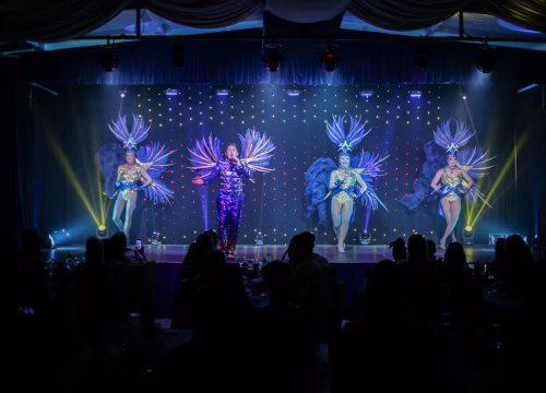 COMEDY CRUISE VARIETY SHOW