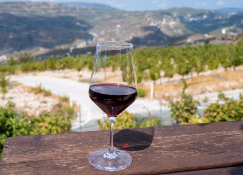 Discover the Art of Wine Tasting in Cyprus